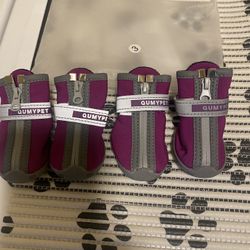 Small Size 3 Dog  Shoes