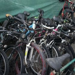 Mountain bikes $50ea 26 in some 24 in 