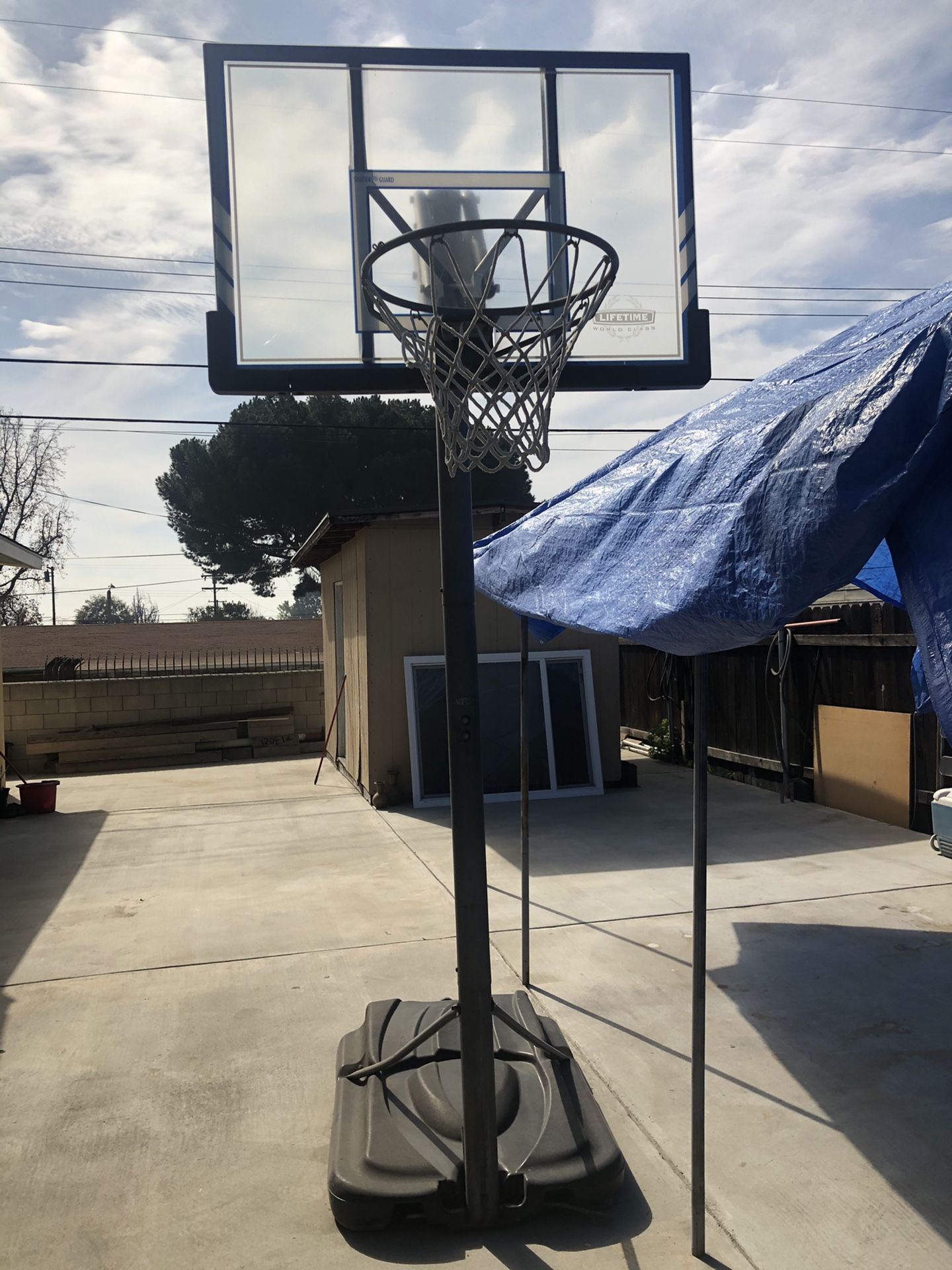 Lifetime Adjustable Basketball hoop