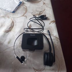 Wireless Headset And Microphone 