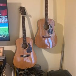 Matching Alvarez  Acoustic Guitars 6 String