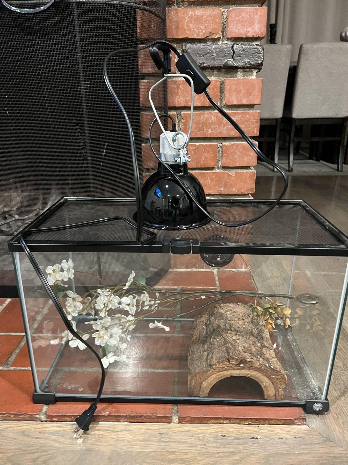 Lizard Glass Tank