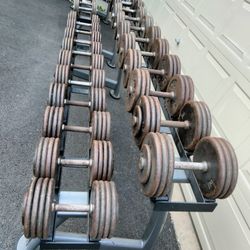Dumbbells With Racks