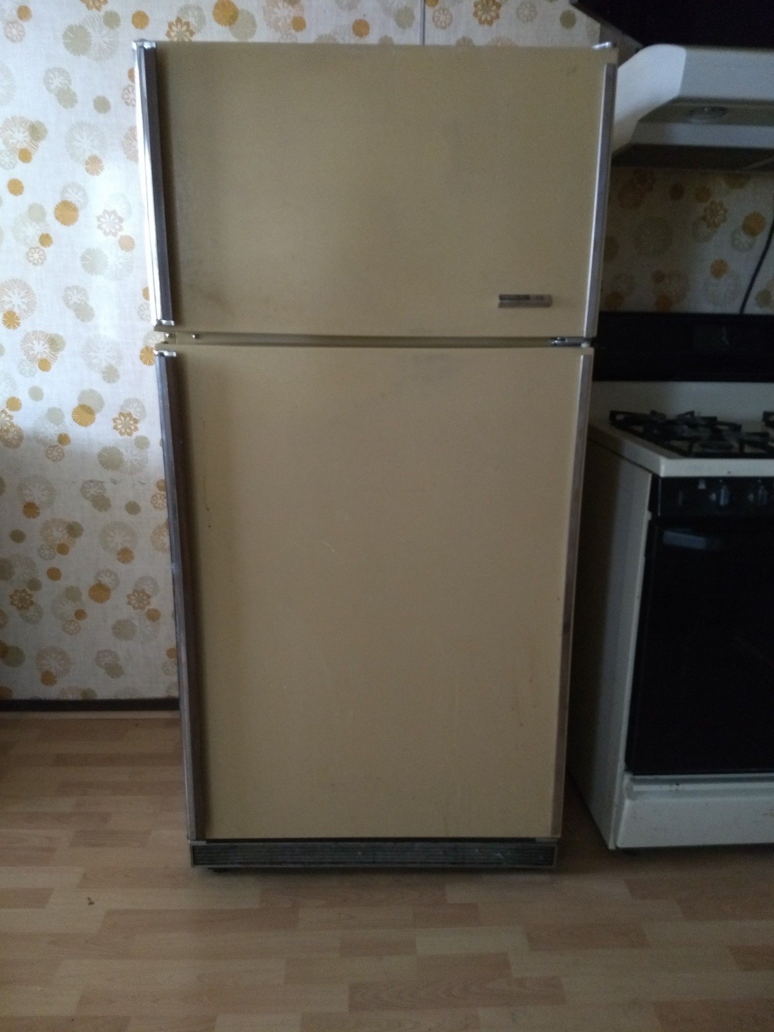 Fridge