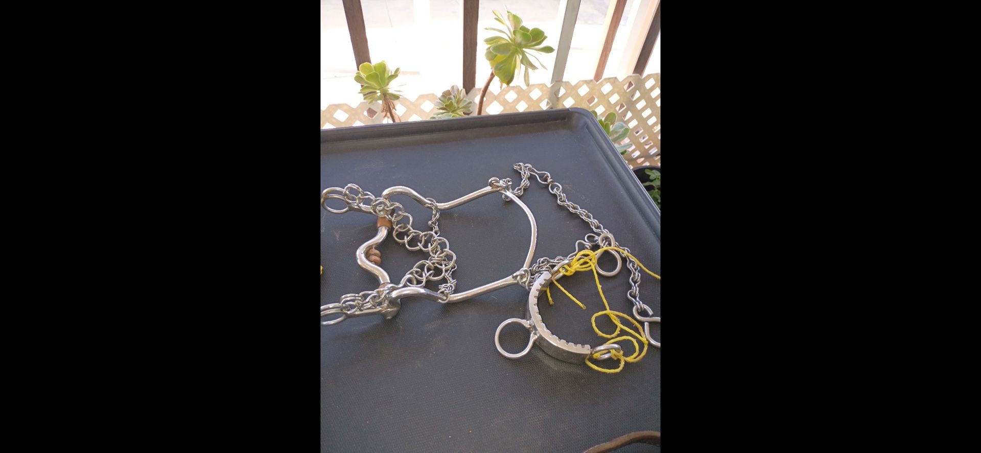 Freno Y Bosal