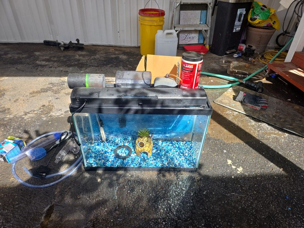 Fish Aquarium