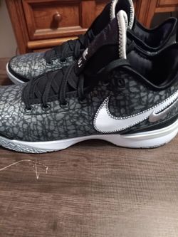 Lebron James shoes size 12.5