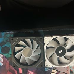 Rgb Fans For Cheap