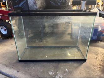 29 gallon fish tank