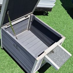 Cat House 