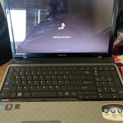 Toshiba Laptop Charger And case 