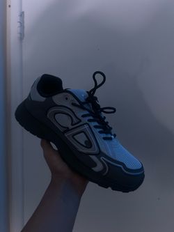 Dior b30