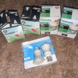 Flood Light Bulbs