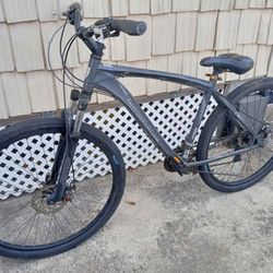 29 Inch Iron Horse Full Aluminum