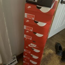 Panda Dunks  (Read Description)