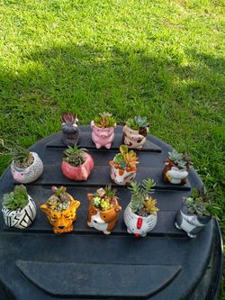 Regalo Para Cualquier Detalle 6 Dólares Cada 7na