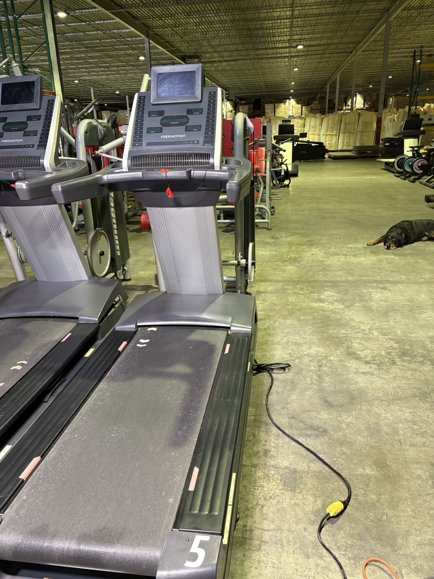 Freemotion Treadmill
