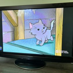 42in HDTV, Panasonic Plasma, vierra, small defect with pixels 