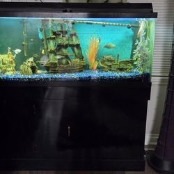 Need GoneASAP- Fish Tank With Everything Included 