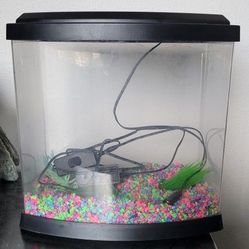 Fish Tank