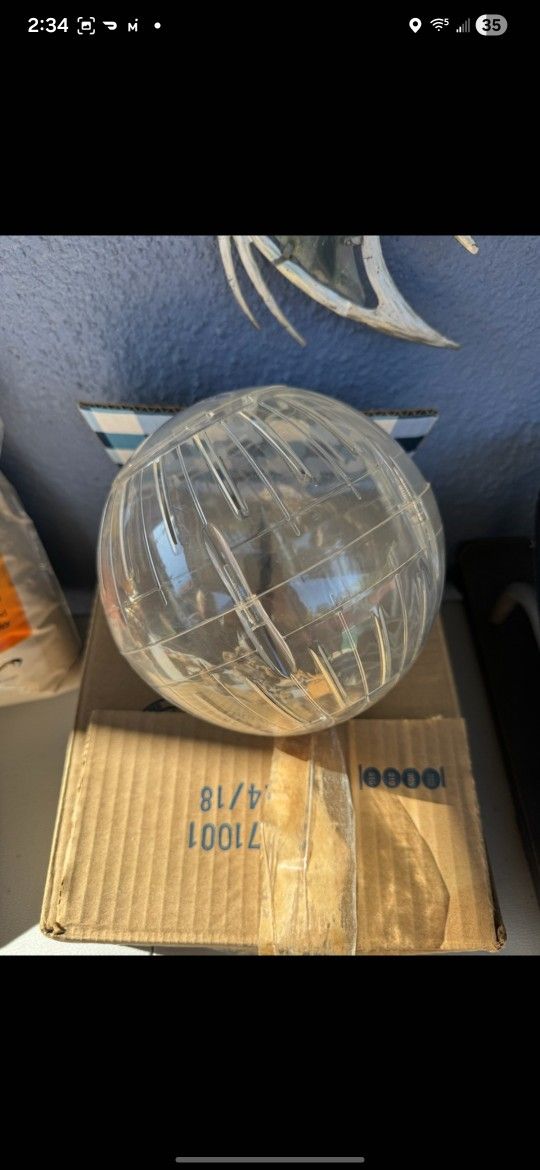 Hamster BALL