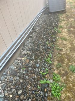 River rocks