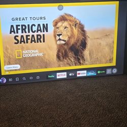 Brand New 65" 4k Ultra HD Insignia Fire Tv 