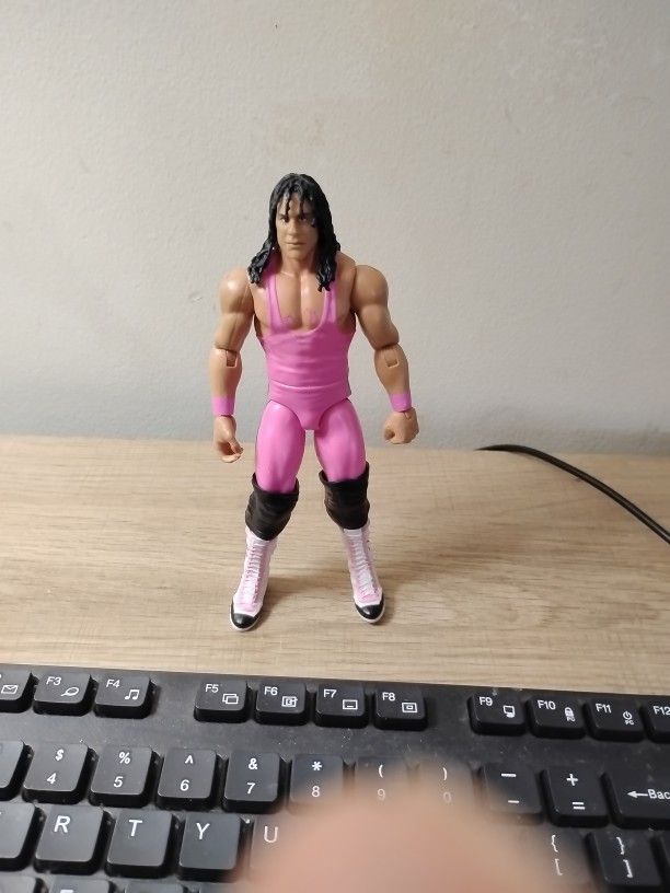 Wwe Action Fig Bret Hart 