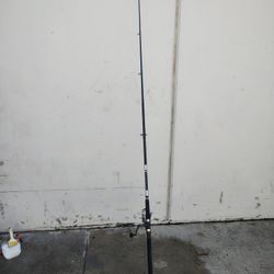 Fishing Pole