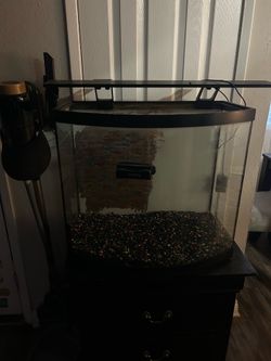 Fish tank in great condition