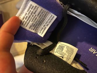 SB Dunk Low Court Purple