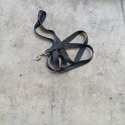 Petsafe Dog Leash