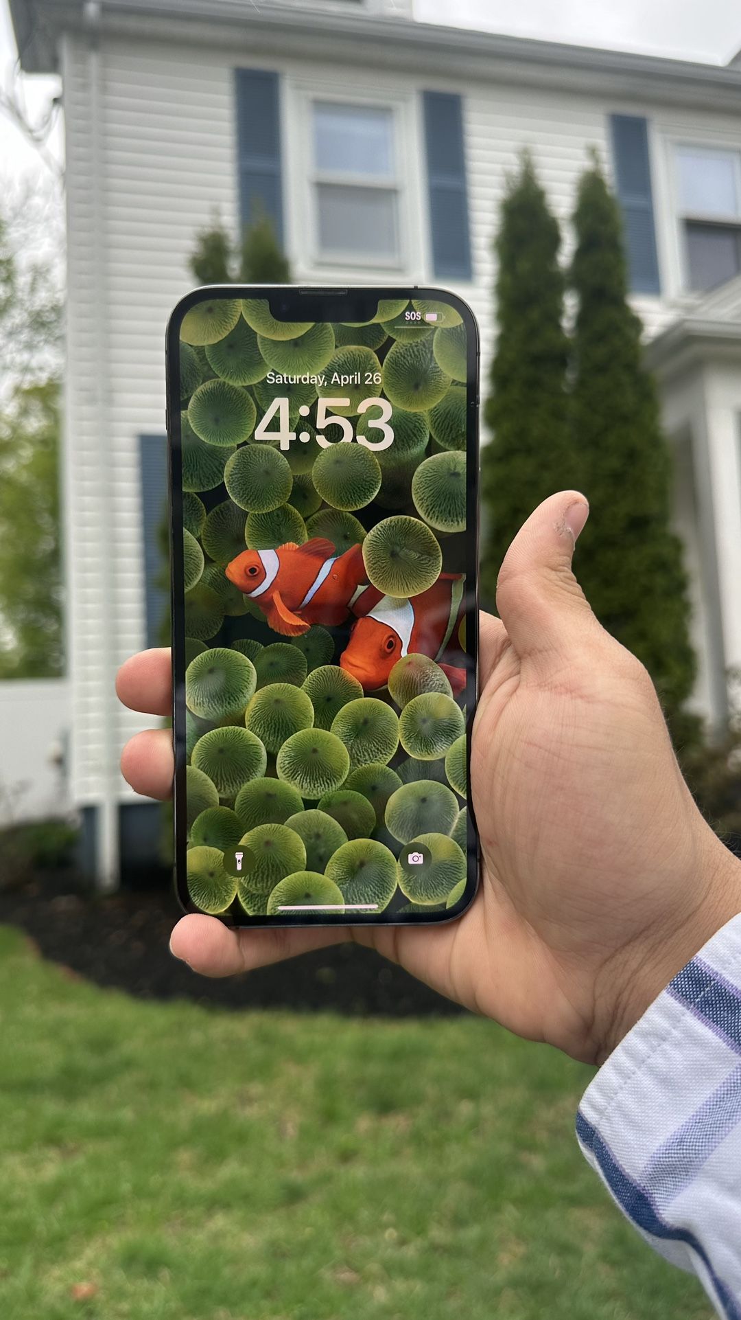 iphone 13 pro max 256GB unlocked/liberado