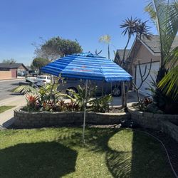 Tommy Bahama Beach Umbrella 