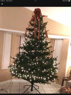 Árbol Navideño 11 pies De alto Sin las Luces $50