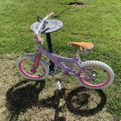 Girls 16” Bike By Dynacraft