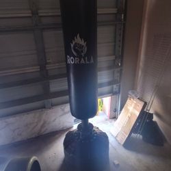 Stand Up Punching Bag $50
