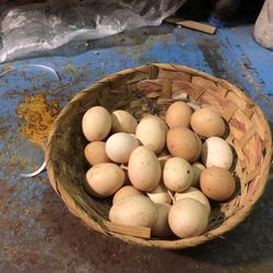 Eggs  Fresh Organic  