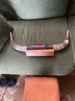 Vintage longhorns