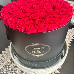 Venus forever roses