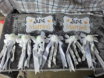 Wedding JUST MARRIED car decor