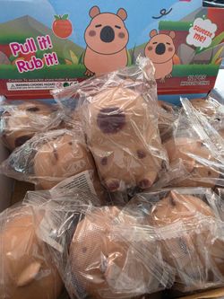 Capybara squishy