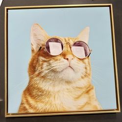 Cool Orange Tabby Cat Picture - Like New! 