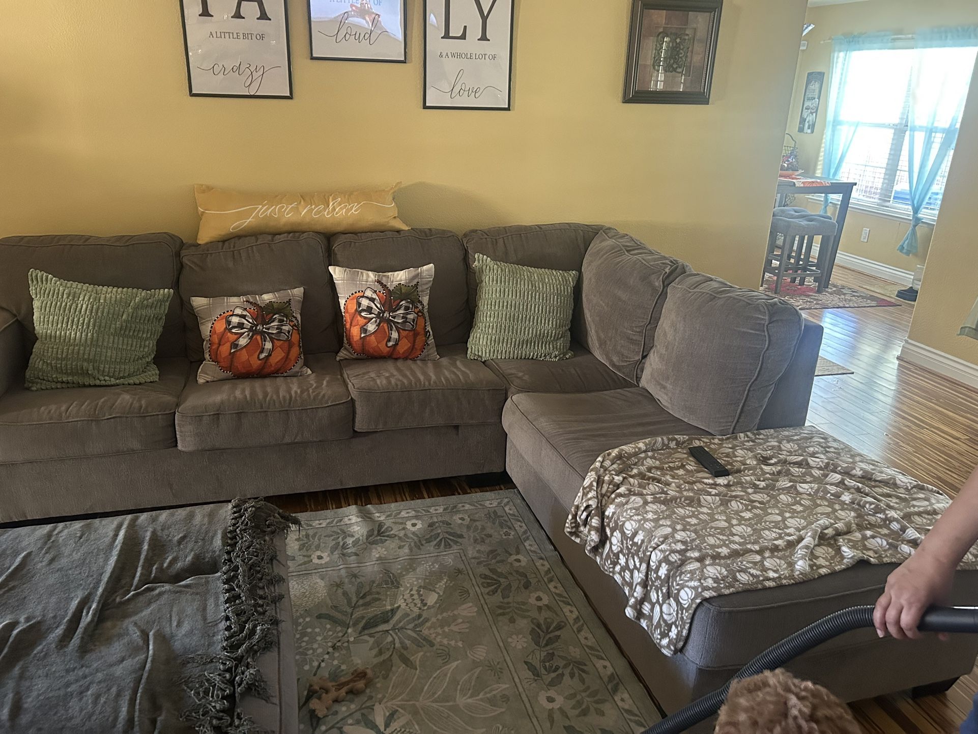 Sofa Sectional Sleeper