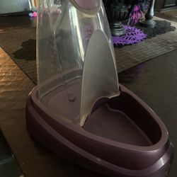 Pet Feeder Dog Cat $5