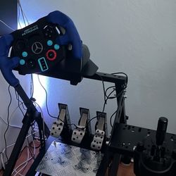 g29 Sim racing setup / trade