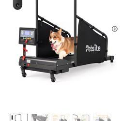 Pet treadmill 