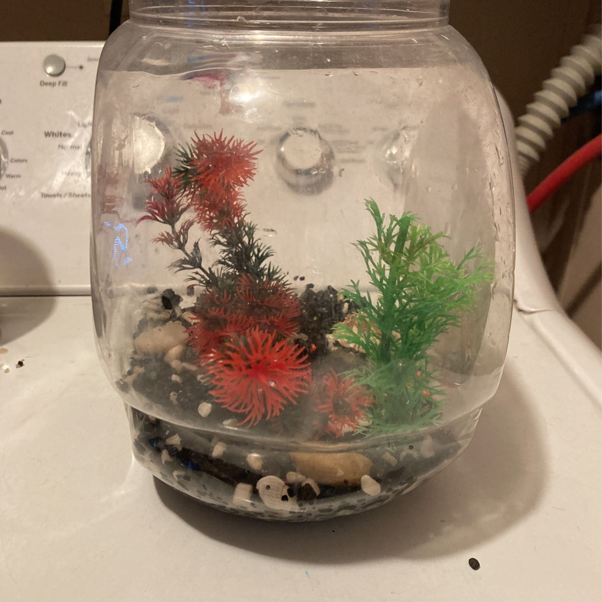 Fish Tank Starter Kit (plants And Rocks Included)