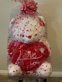 White Teddy Bear New