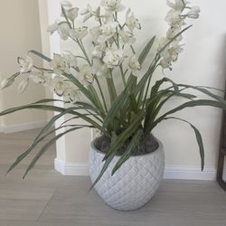 Large Silk Orchid Plant In Beautiful Planter 